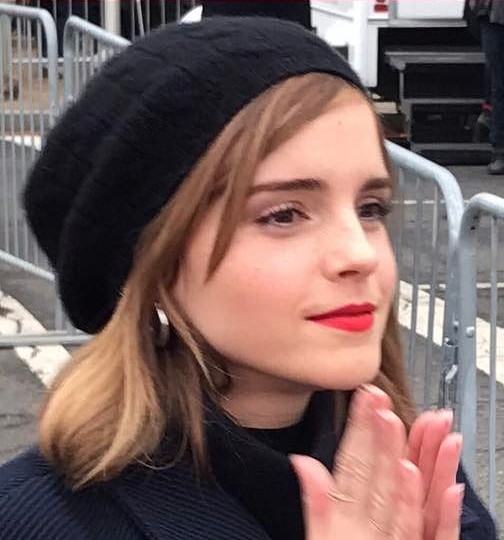 emma_watson_2017_womens_march_on_washington_47.jpg